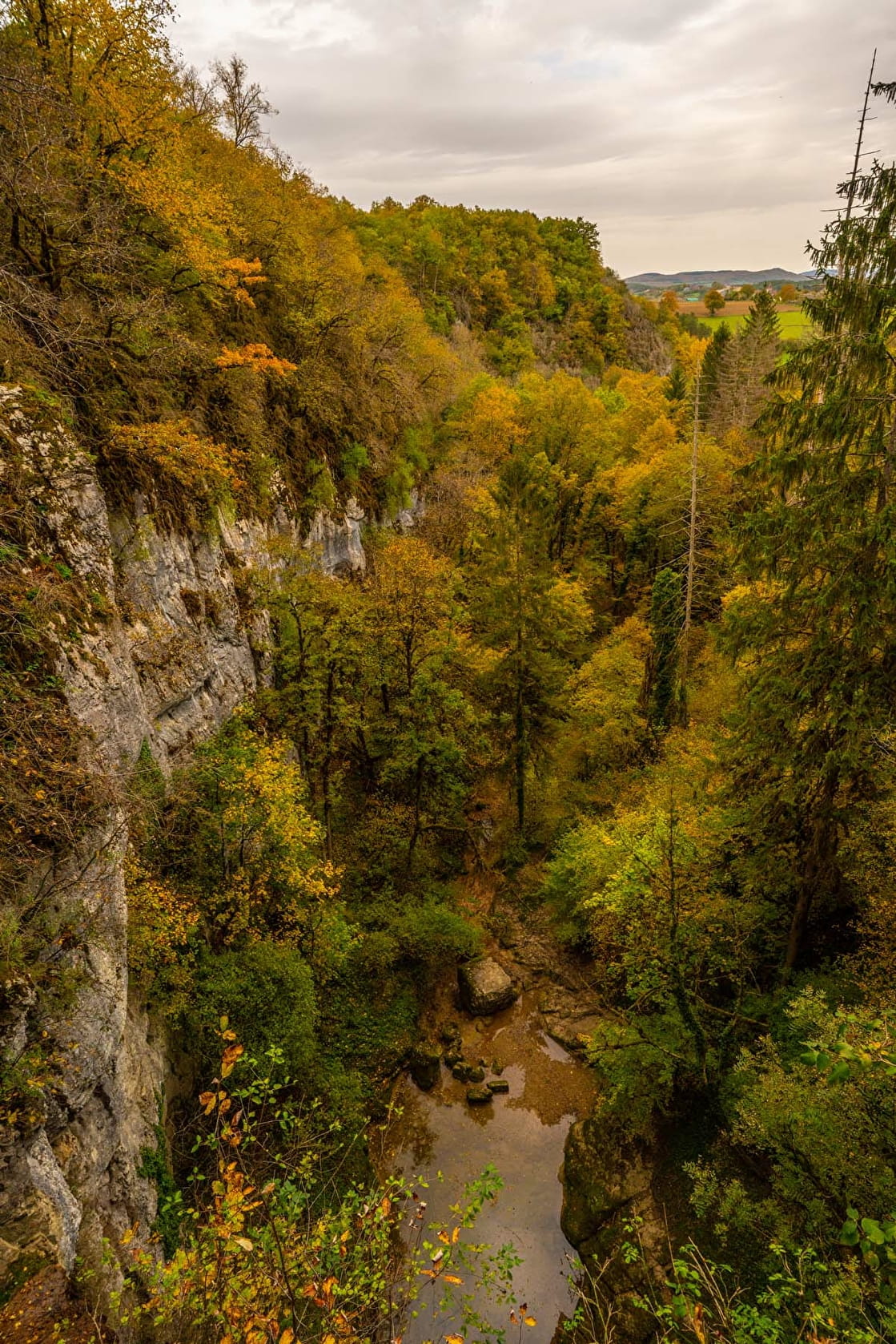 Poster panoramique nature et cascade dans la forêt d'émeraude