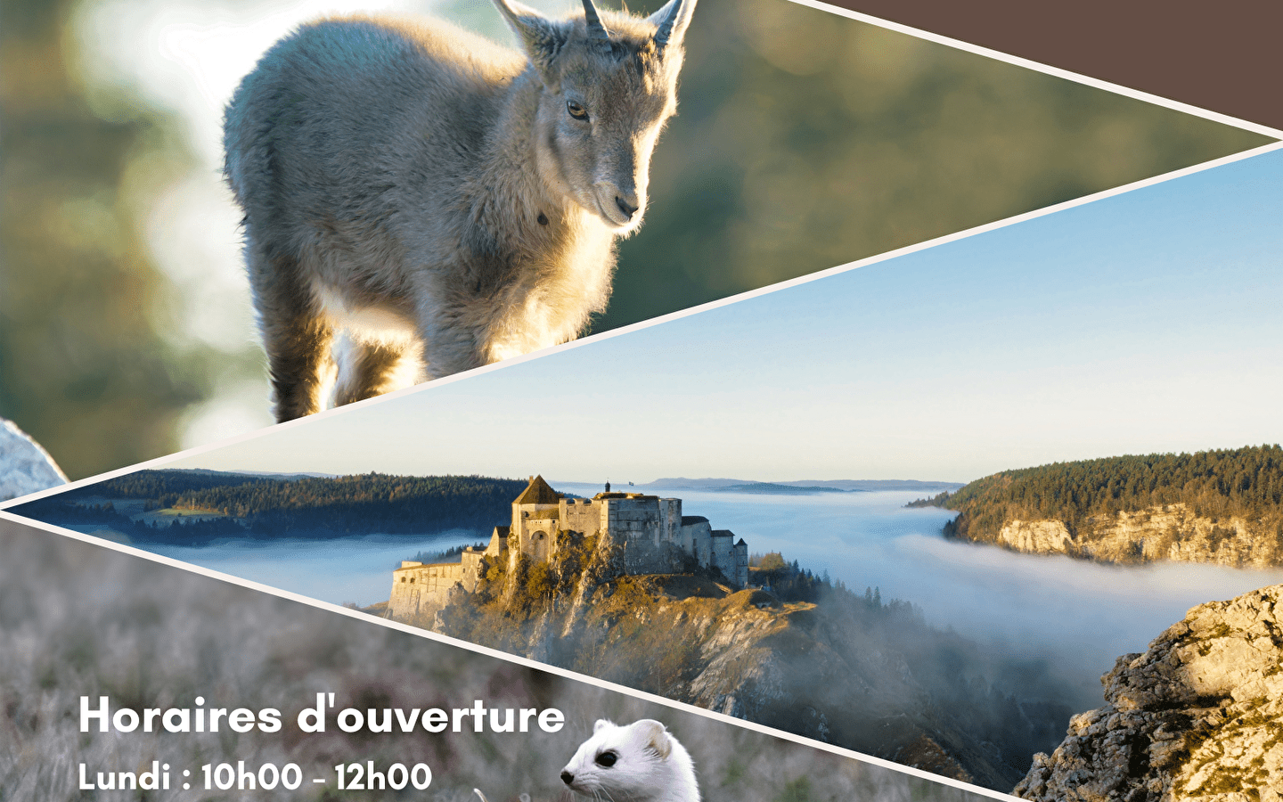 Exposition photo Paysages et Animaux sauvages du Haut-Doubs