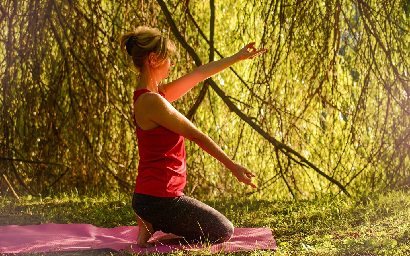 Atelier 123 Nature : Yoga et nature