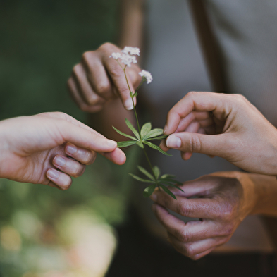 Corps et plantes 