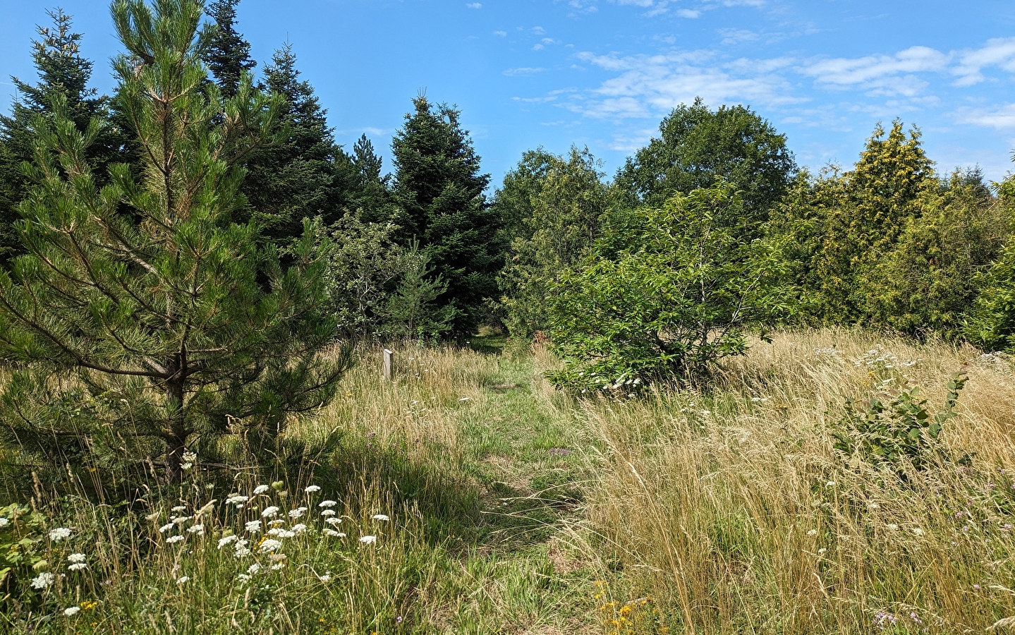 Le chemin de la République