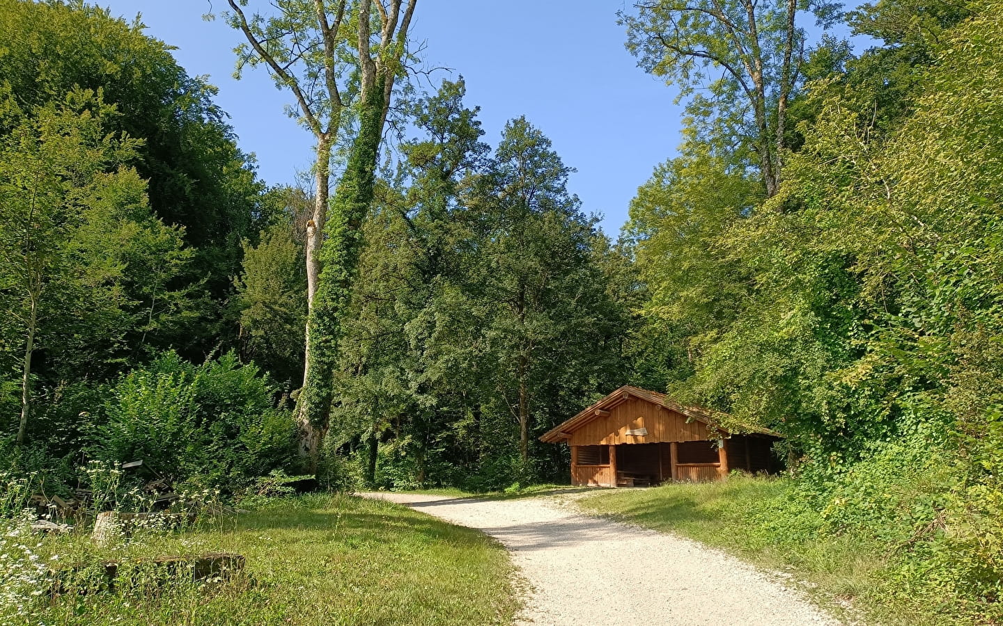 Circuit du Bois de Villars-Sous-Écot Monument du Maquis