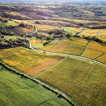 Belvédère du vignoble - PUPILLIN