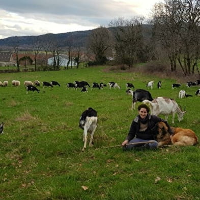 Les Pieds dans le Local®, spécial producteurs ! Visite d'exploitation : La Ferme des P'tits Bleuets