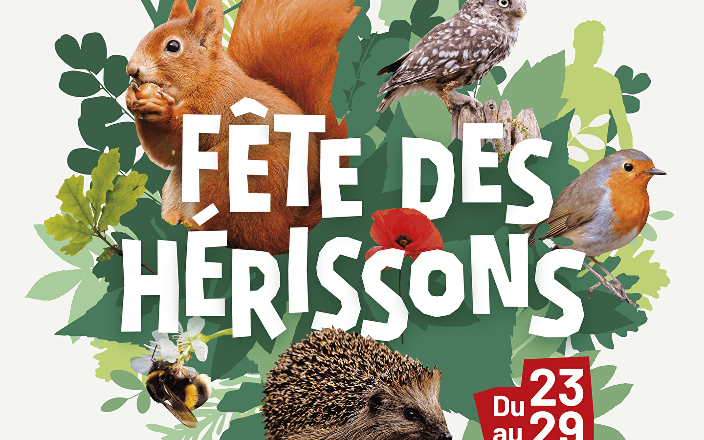 Fête des Hérissons - Conférence : comment préserver le hérisson d'Europe ?