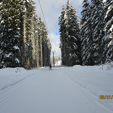 Piste de ski de Fond : La Pellagrue