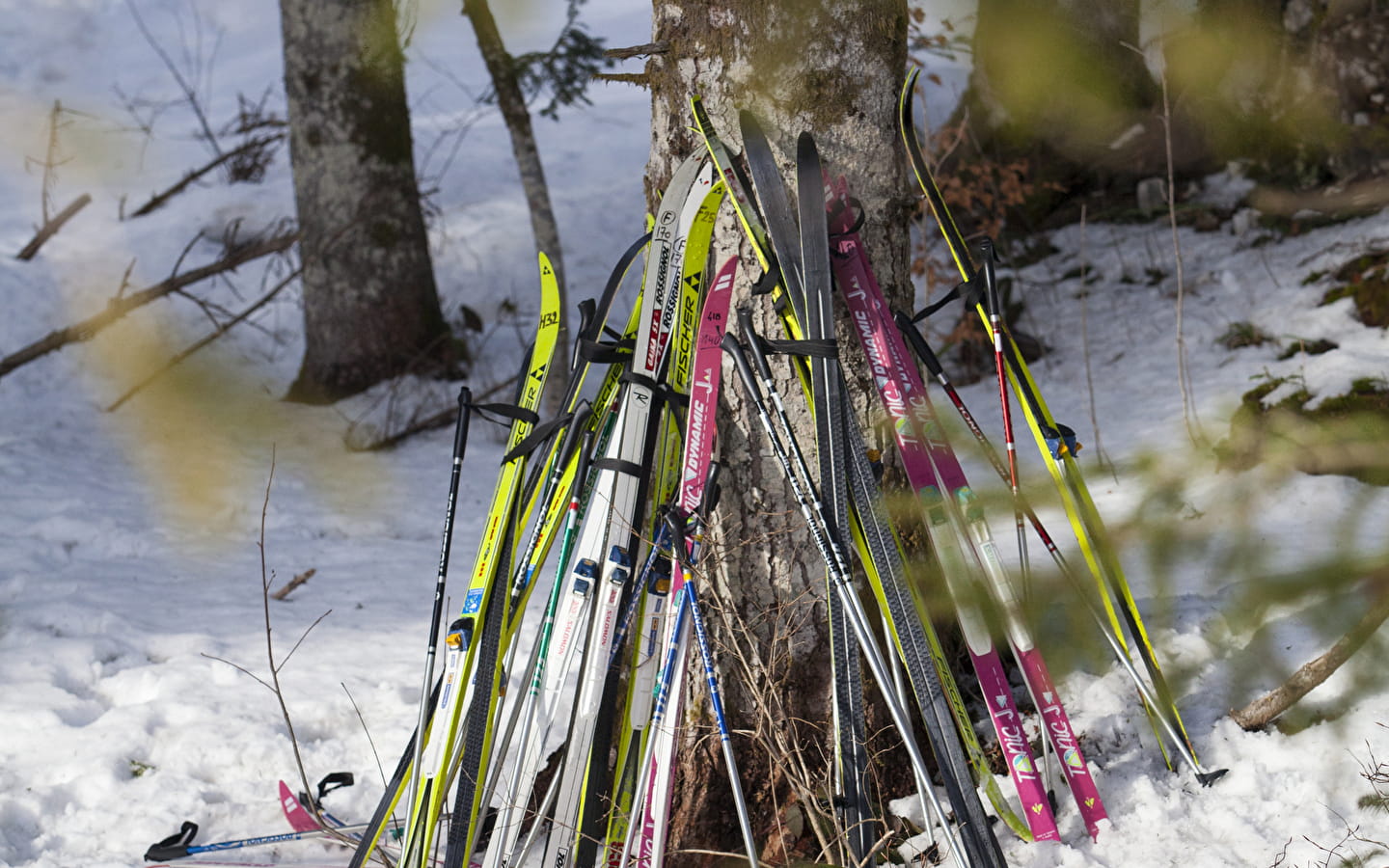 Bourse aux skis du Ski club Valserhône