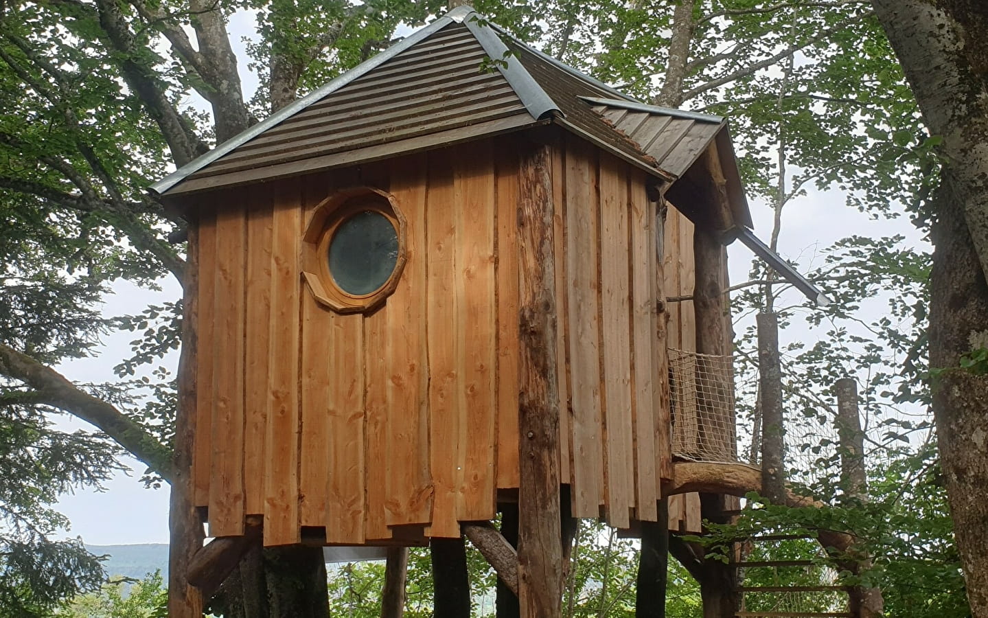 Cabane perchée dans les arbres 'la Lazine'