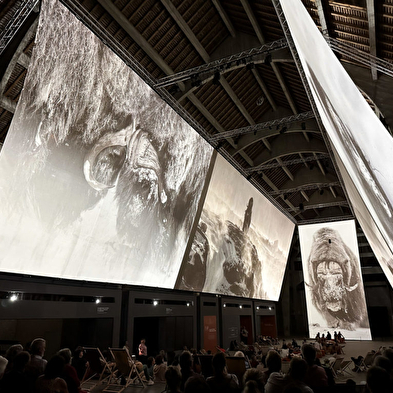 Projection du film: 'Vincent Munier, Des Vosges au Tibet'