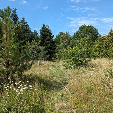 Le Sentier Découverte de Baume les Dames