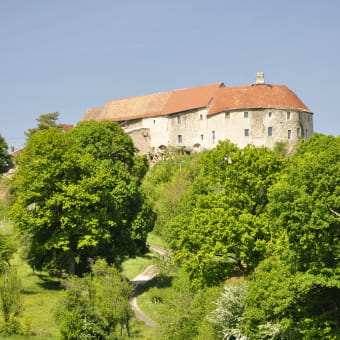 Château Médiéval de Montby - GONDENANS-MONTBY