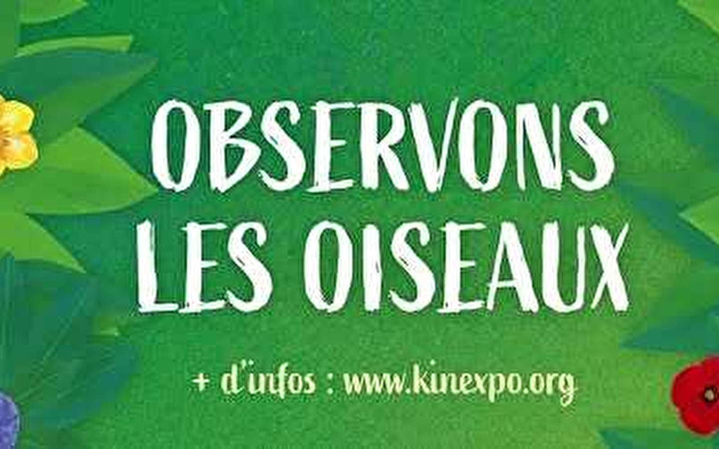 Exposition interactive 'Observons les oiseaux'