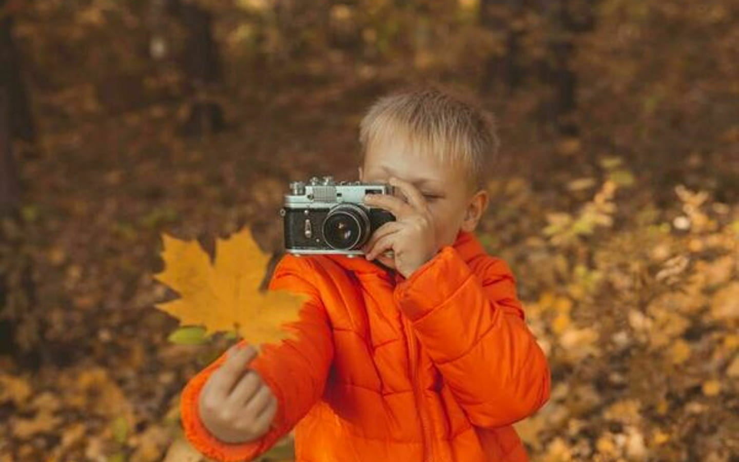 Atelier en famille de l'automne : Apprendre à observer le vivant