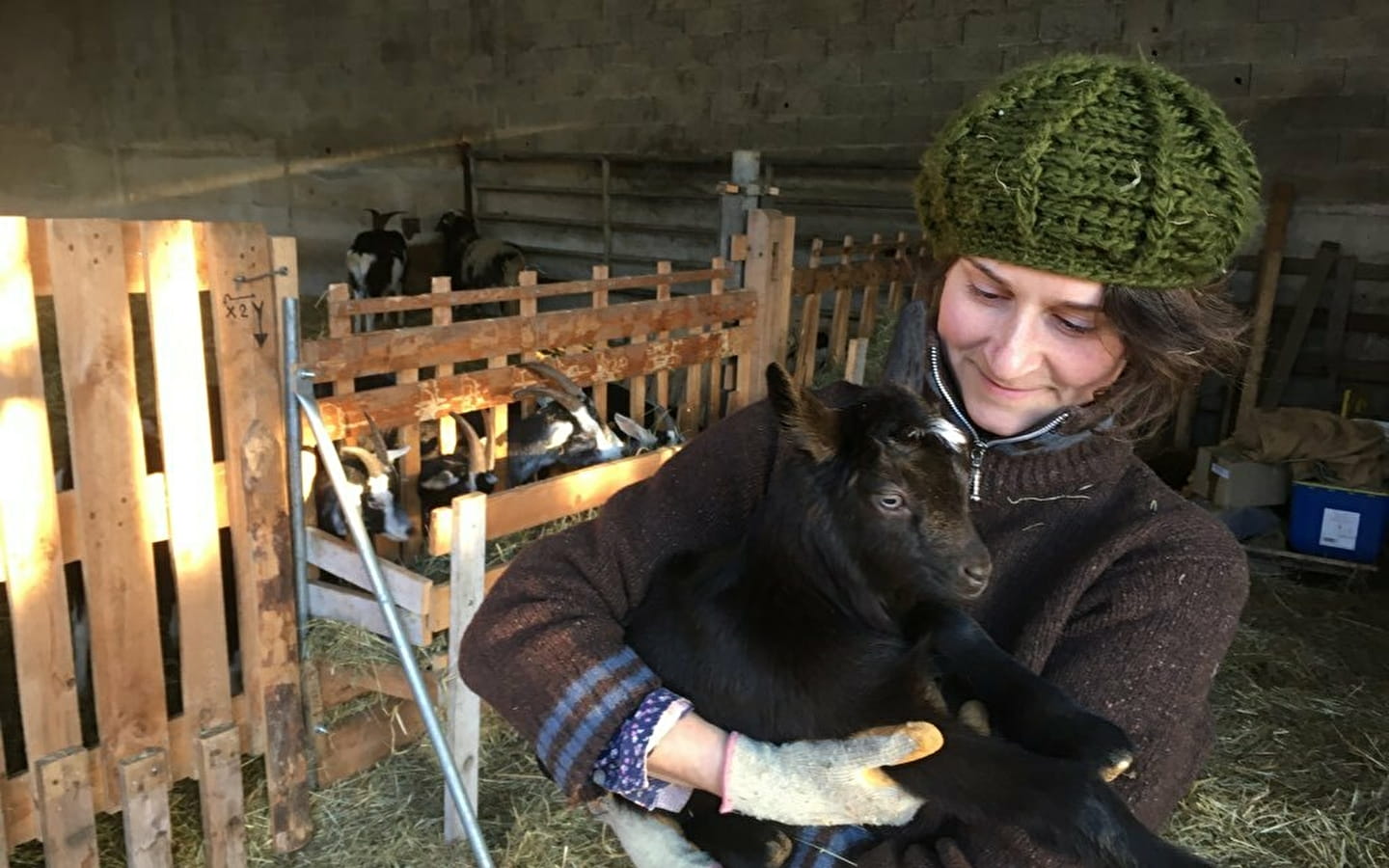 Les Pieds dans le Local®, spécial producteurs ! Visite d'exploitation : La Ferme des P'tits Bleuets