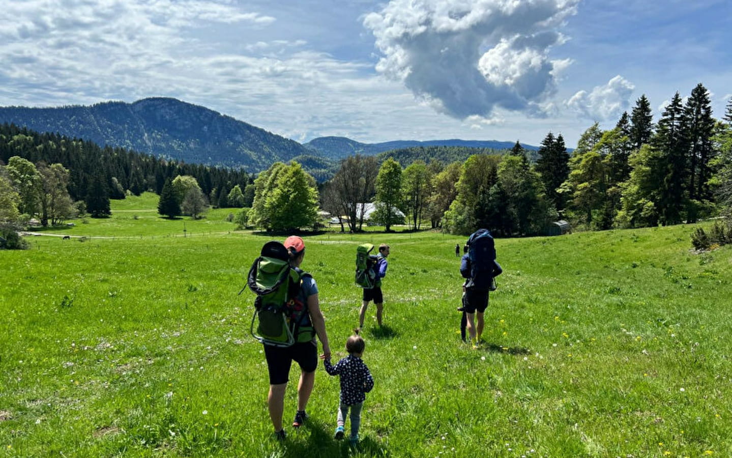 Visite de l'alpage avec le berger : histoire, patrimoine : les secrets du Mont d'Or