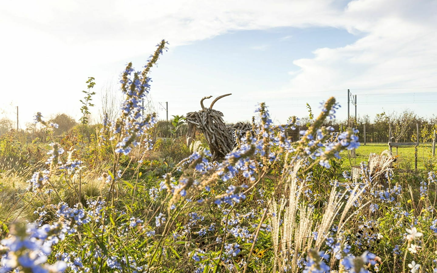 ATELIER : 'LES MAUVAISES HERBES À TABLE !'