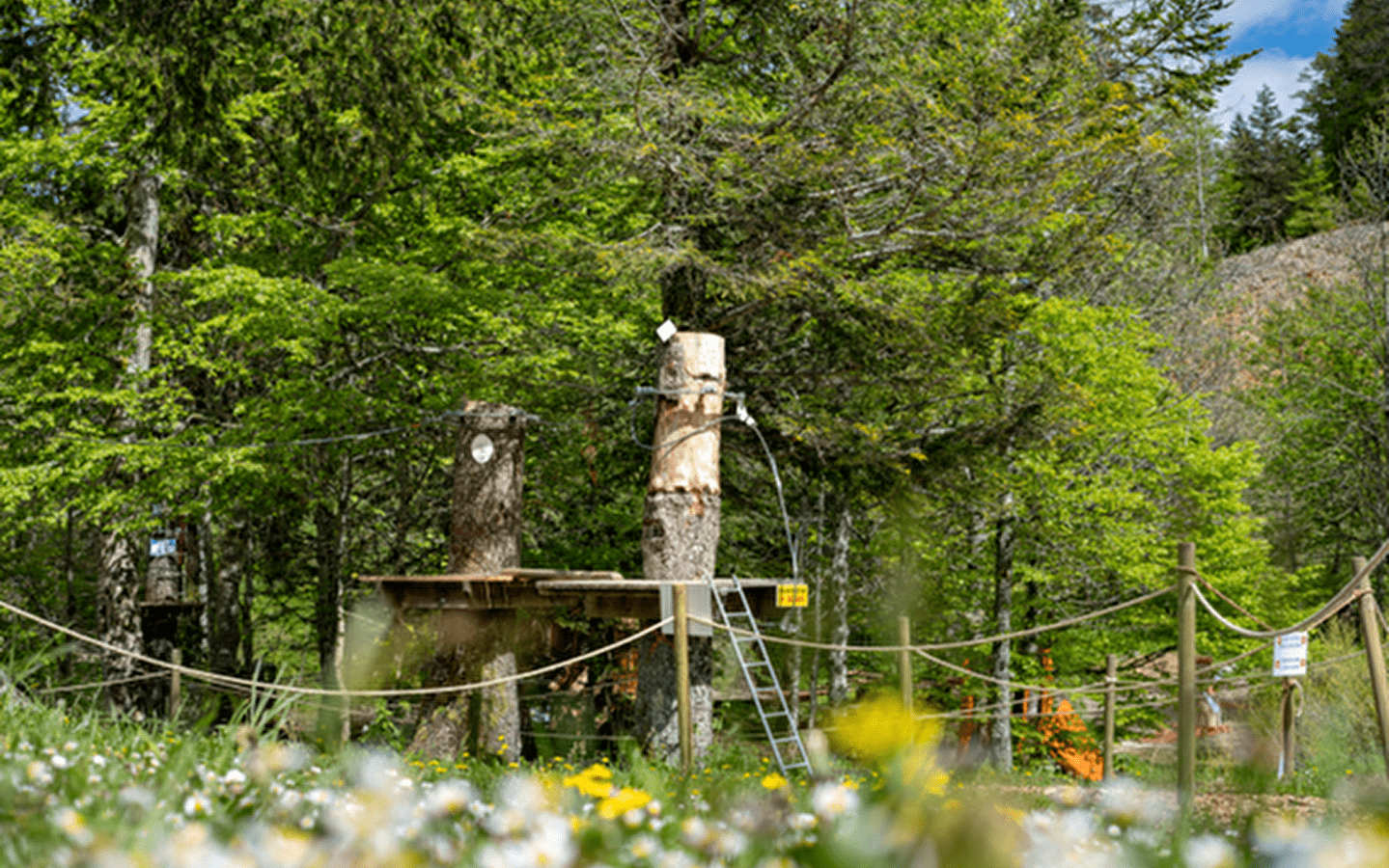 Monts Jura - parc accrobranche