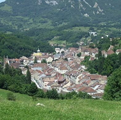 Visite de Salins-les-Bains