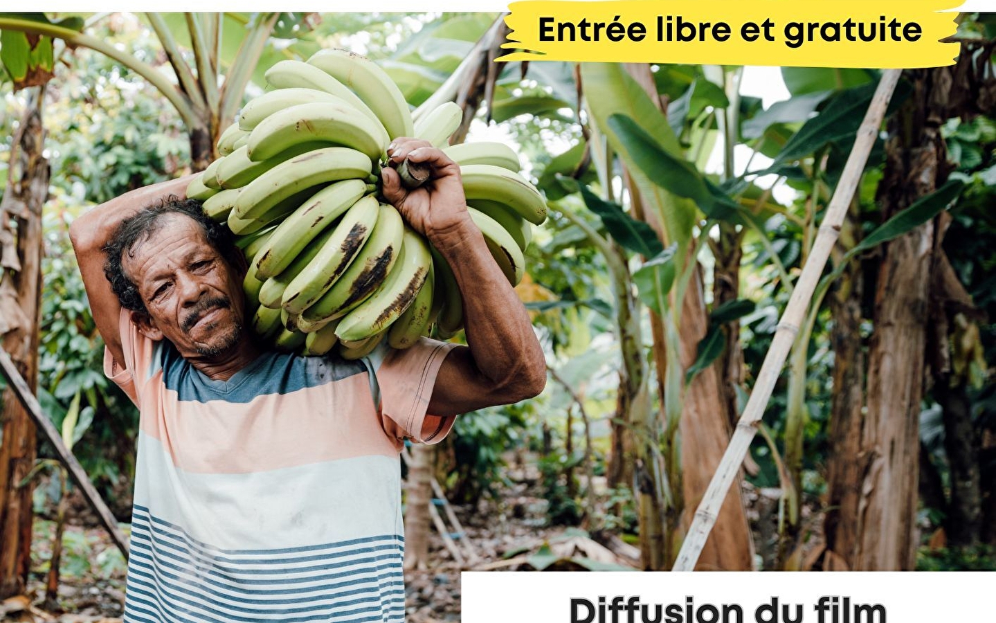 Exposition les maux de notre alimentation 