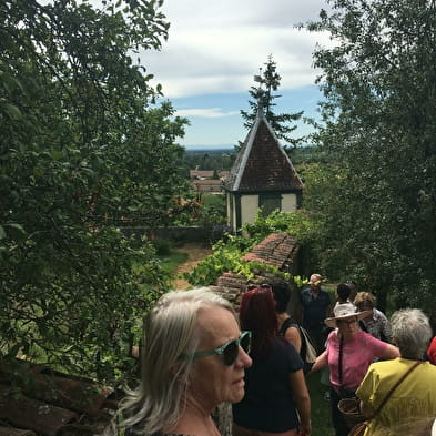 Journées Européennes du Patrimoine - Treffort et son sentier des vieilles vignes ou sentier ethnobotanique