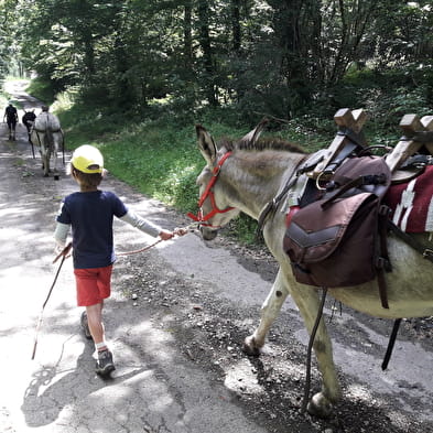 Randonnée en âne journée ou demi journée