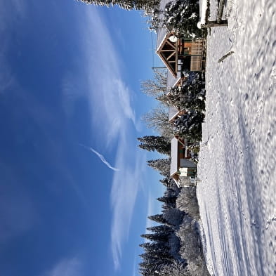 Chalet le Hêtre - La Favière