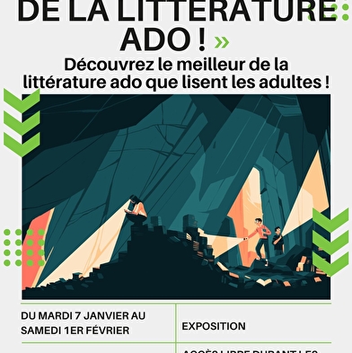 Exposition : 'Sur les chemins de la littérature ado !'