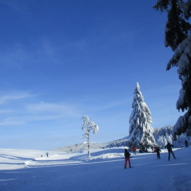 Piste de ski de fond : Le Plateau