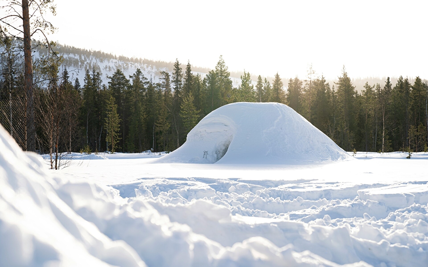 Ecole de ski du Haut-Jura - Les Moussières: Igloo Chamallow