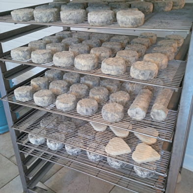 La Ferme des P'tits Bleuets - Fromage de chèvres et brebis