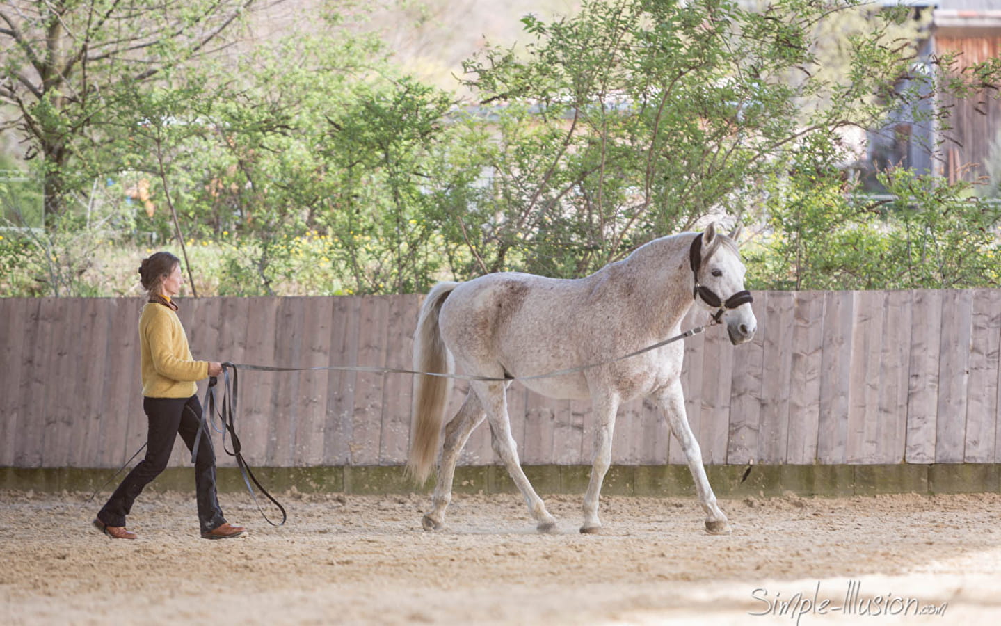 VOYAGE AU PAYS DU CHEVAL