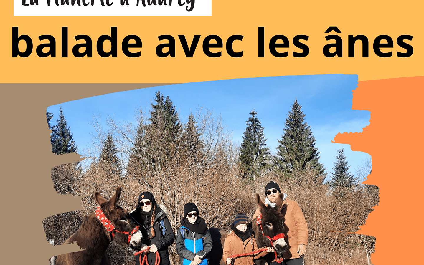 Balade avec les ânes