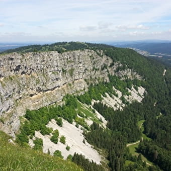 Le Mont d'Or - LONGEVILLES-MONT-D'OR