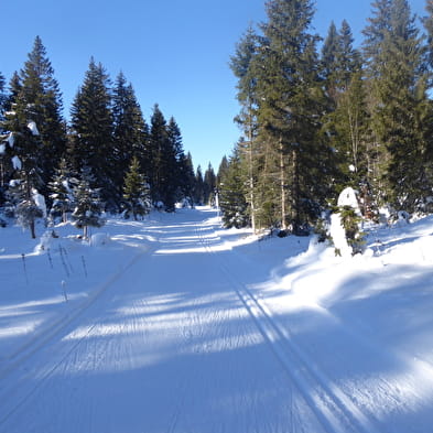 Piste de ski fond : La Puthod