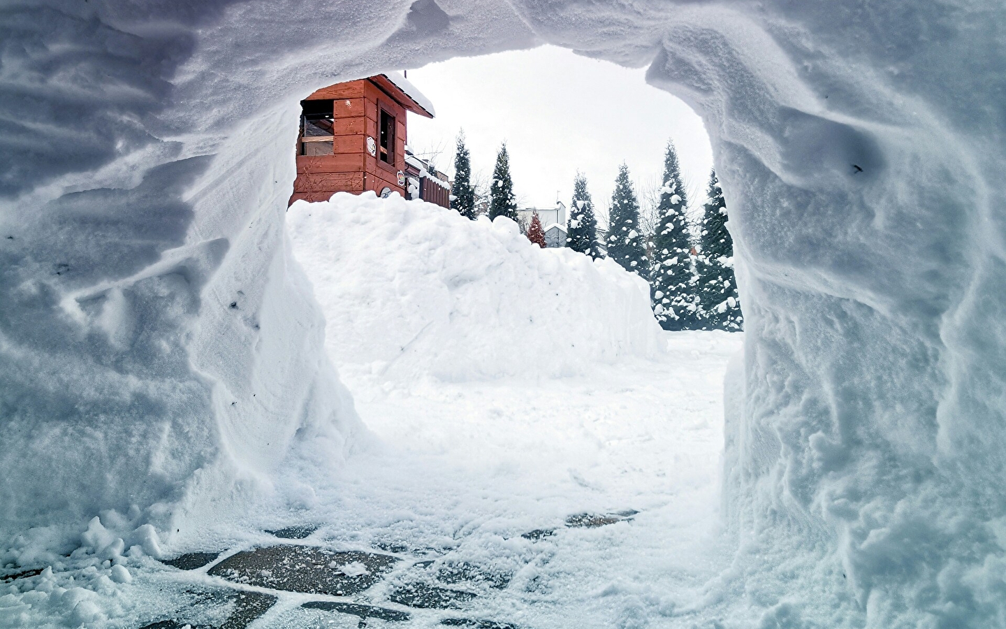 Ecole de ski du Haut-Jura - Lajoux : Randonnée Igloo / Chamallow