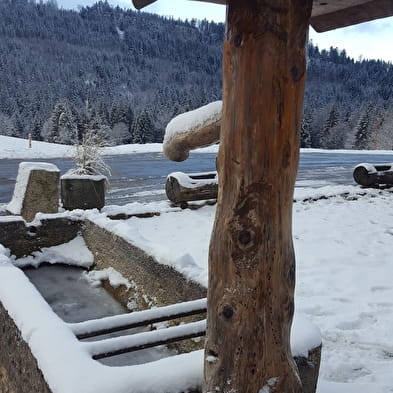 La ferme Guichard depuis La Praille - Piste bleue de ski nordique