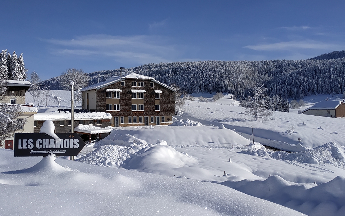 Les Chamois - Appartements en plein cœur du parc naturel