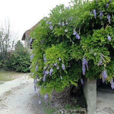 La Maison du Pont