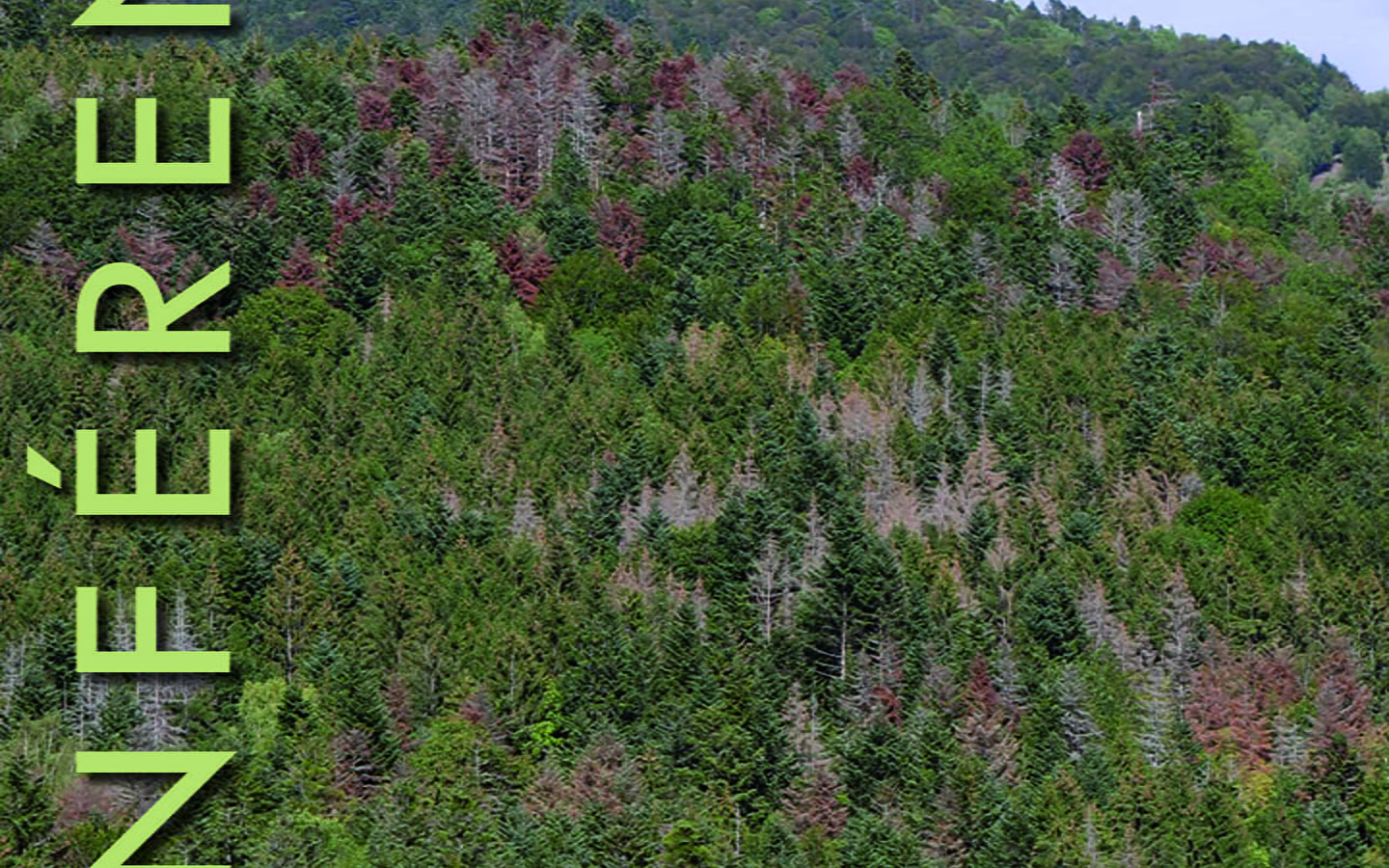 Conférence - Les forêts du Jura et le climat