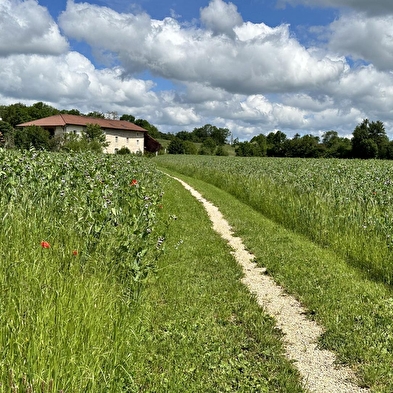 Le Clos à l'Orée des buis