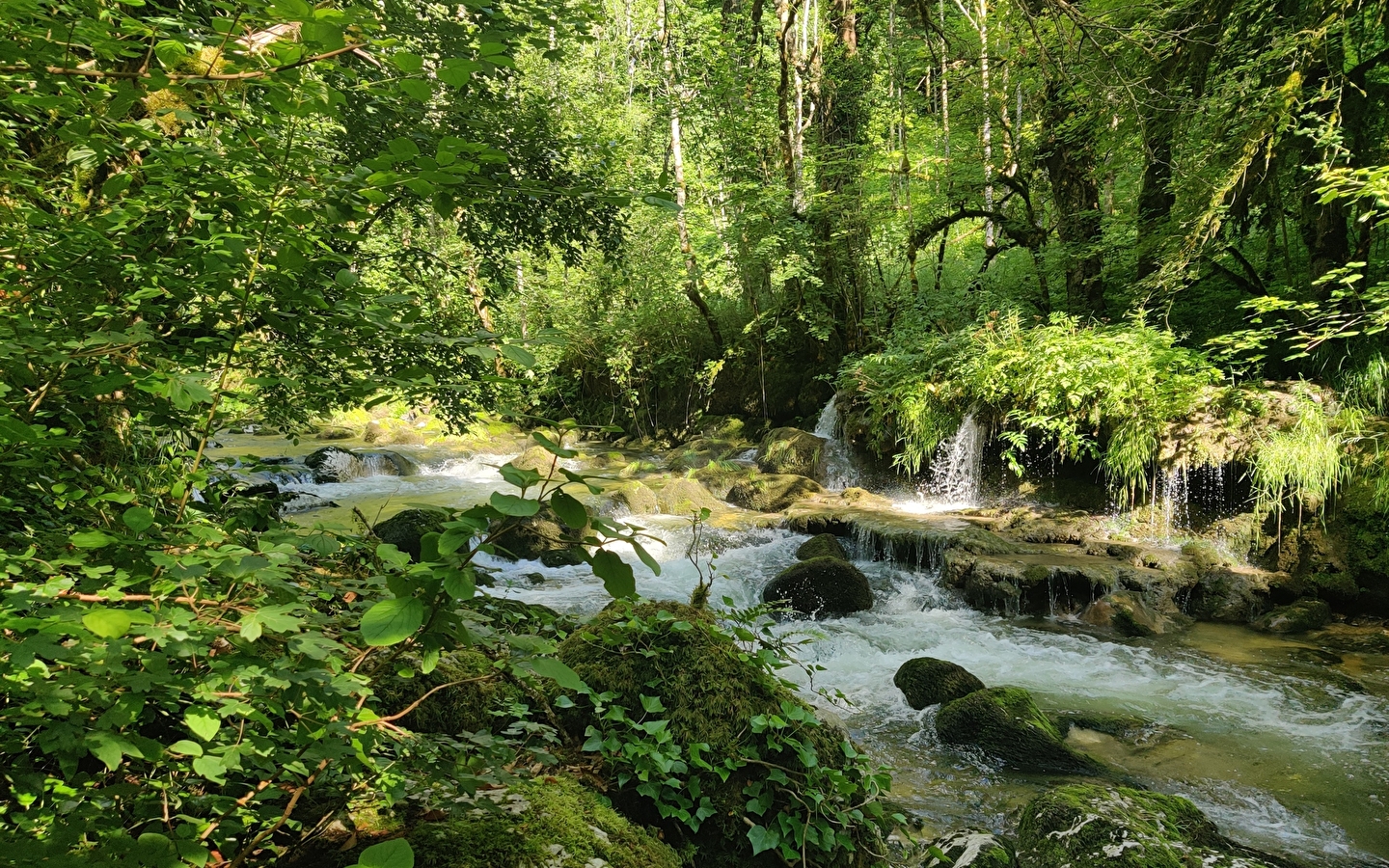 Sentier 'au fil de l'eau' (version longue)