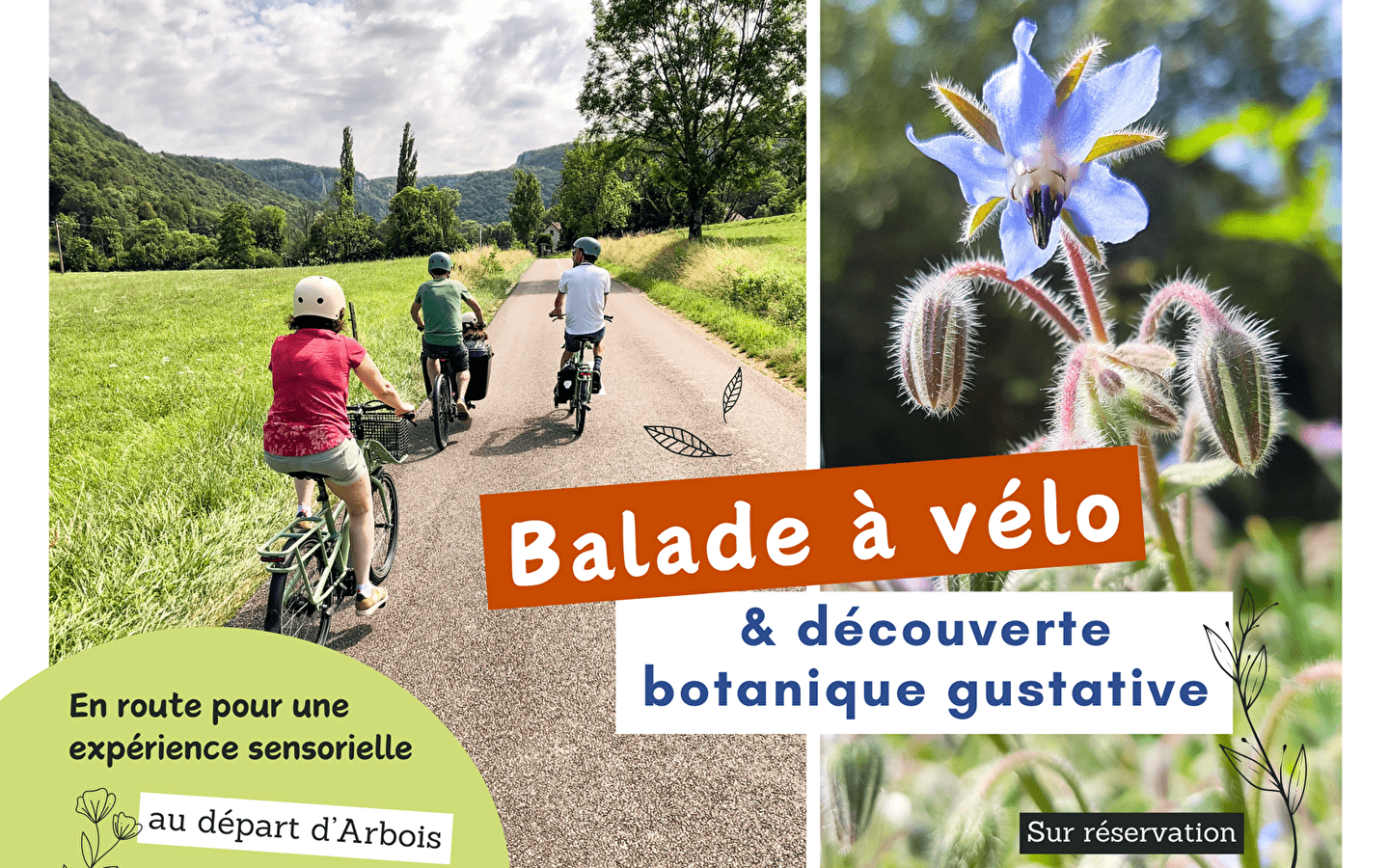 Balade à vélo & découverte botanique gustative