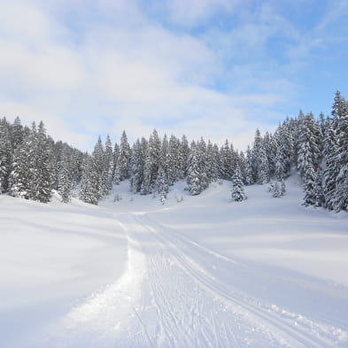 Piste de ski fond : La Puthod