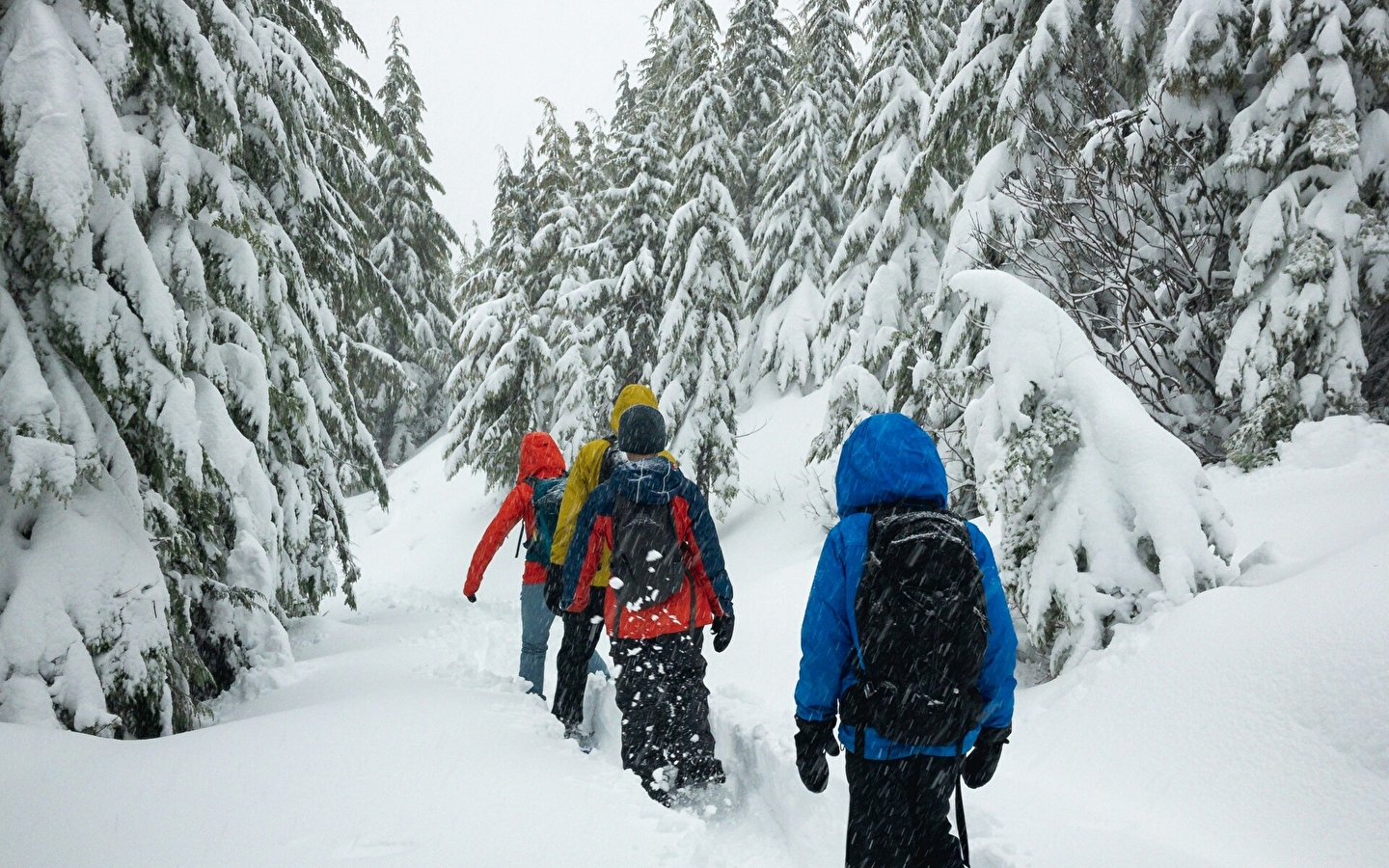 Ecole de ski du Haut-Jura - Lajoux : Nocturne raquettes