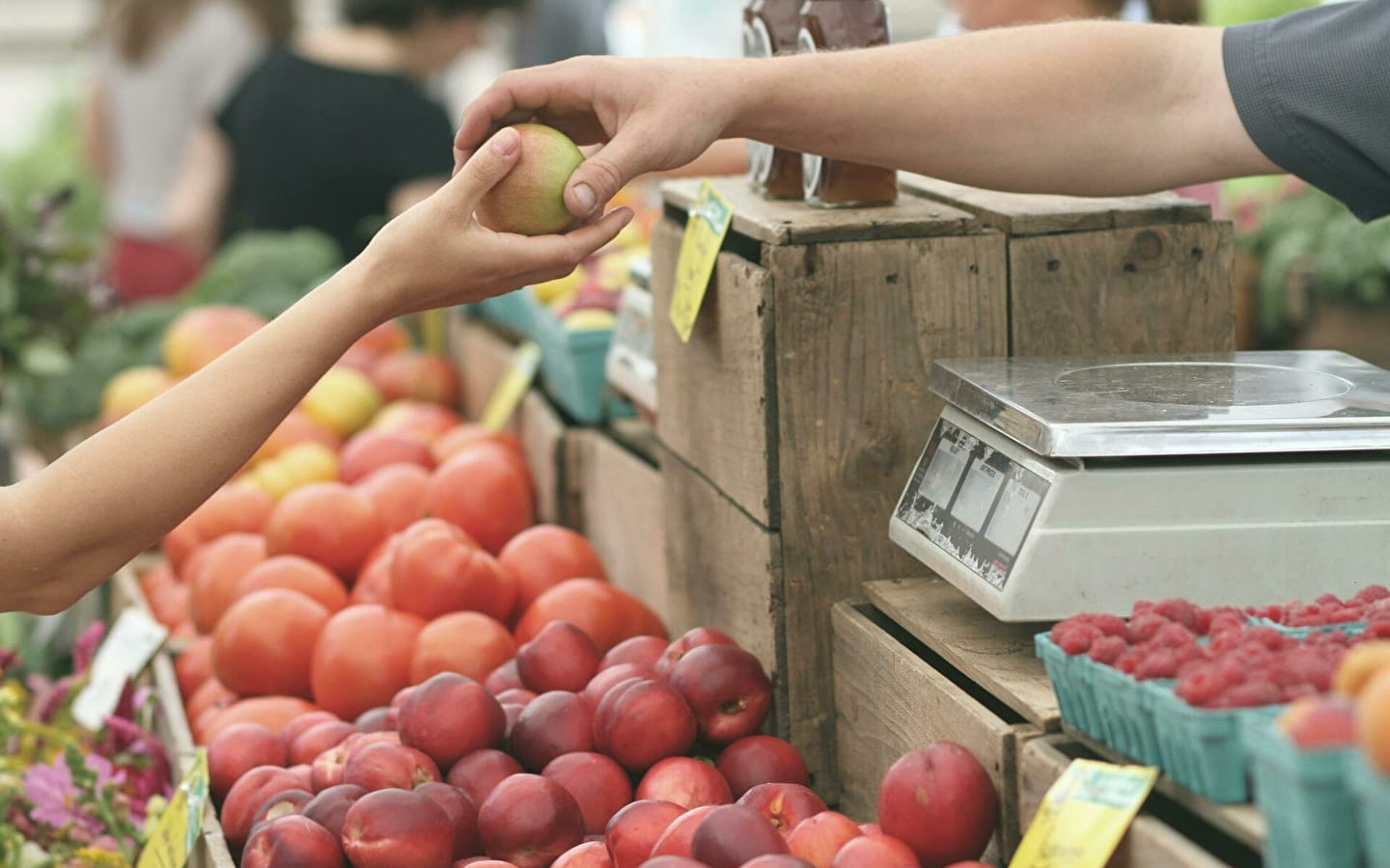 Marché hebdomadaire de L'Isle-sur-le-Doubs