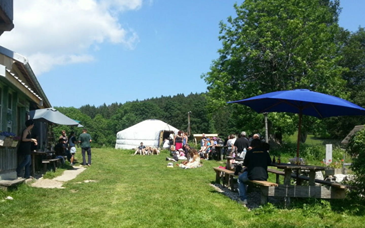 Visite d'alpage et goûter au chalet