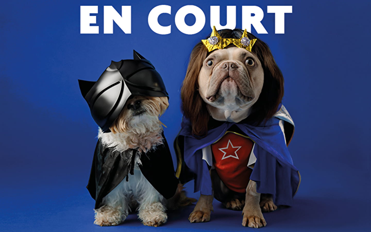 Festival humour en court #3