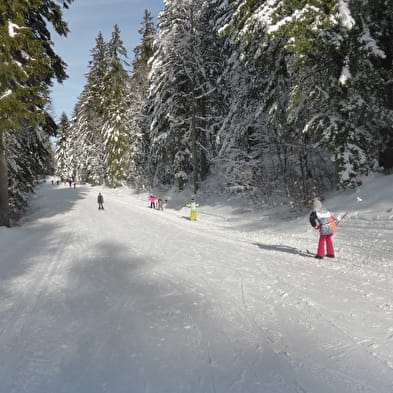 Piste de ski de fond : La Pillarde