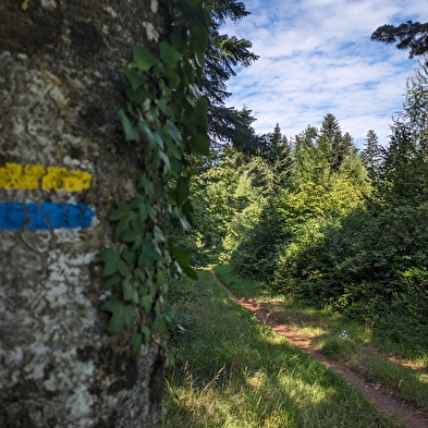 Le chemin de la République