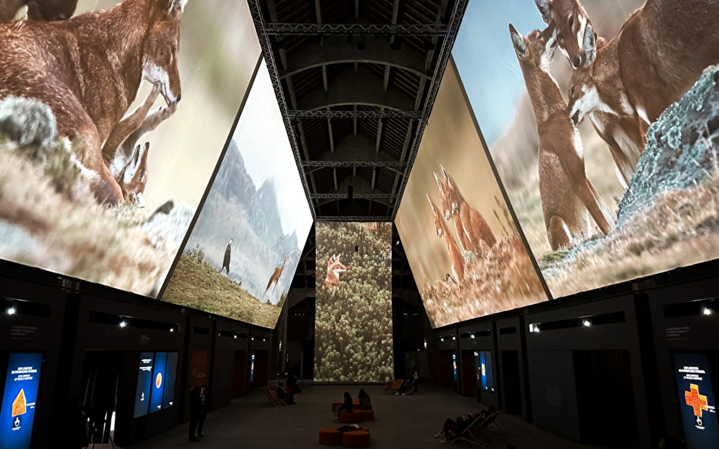 Projection du film: 'Vincent Munier, Des Vosges au Tibet'